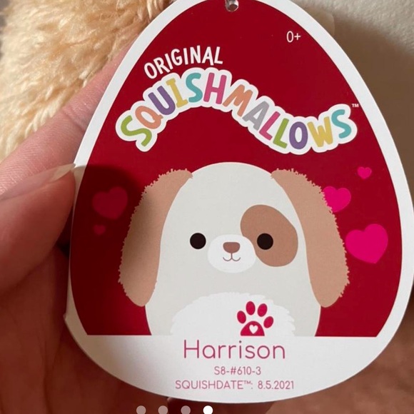 Harrison the dog valentines edition squishmallow - Picture 4 of 4